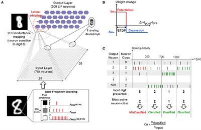 Non-linear Memristive Synaptic Dynamics for Efficient Unsupervised Learning in Spiking Neural Networks